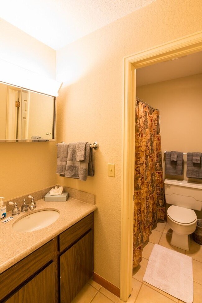 Photo - 2 bedroom/2 bathroom condo in Mount Crested Butte