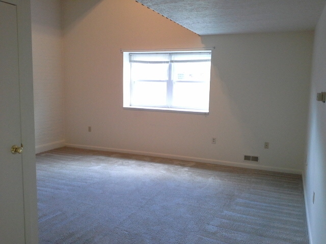 Livlng rm - 1110 Madison Ave Unit 3