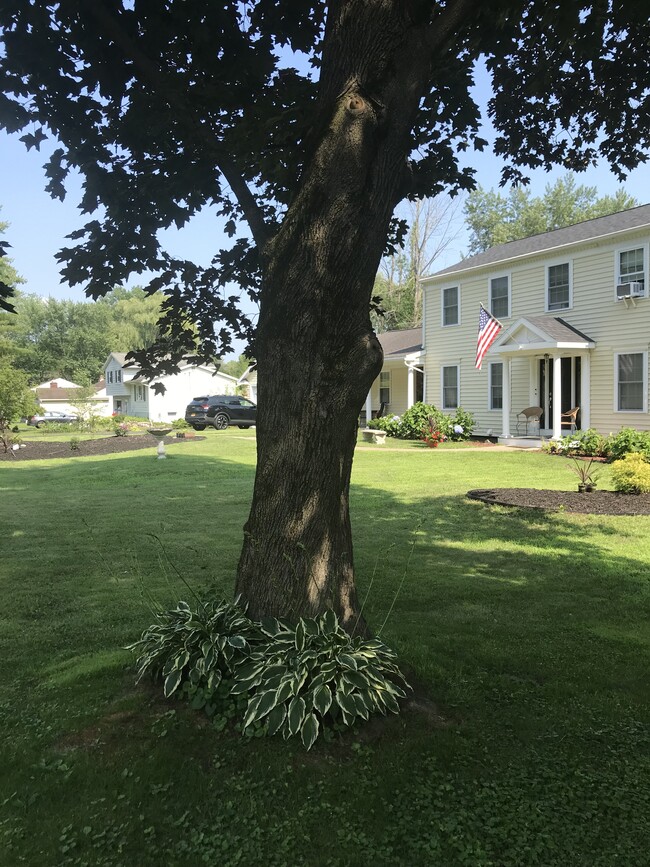 Green space with SUN AND SHADE! - 118 Beacon Rd Unit #G