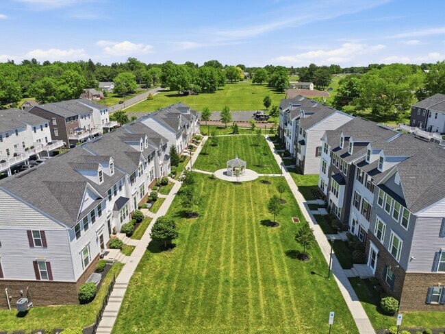 Courtyard - 247 Madison Ln