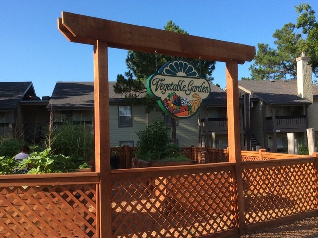 Veggie Garden