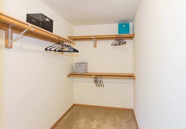 Large Primary Closet