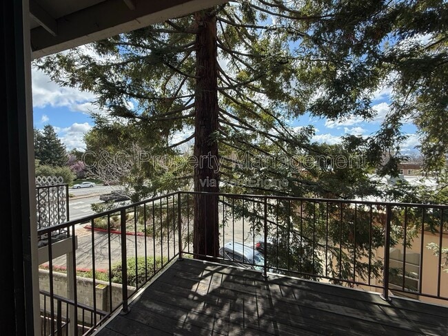 Photo - 38561 Princeton Terrace Unidad 16