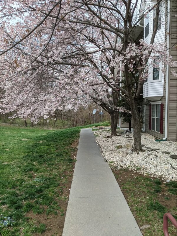 Photo - 106 Timberlake Terrace Unit #1