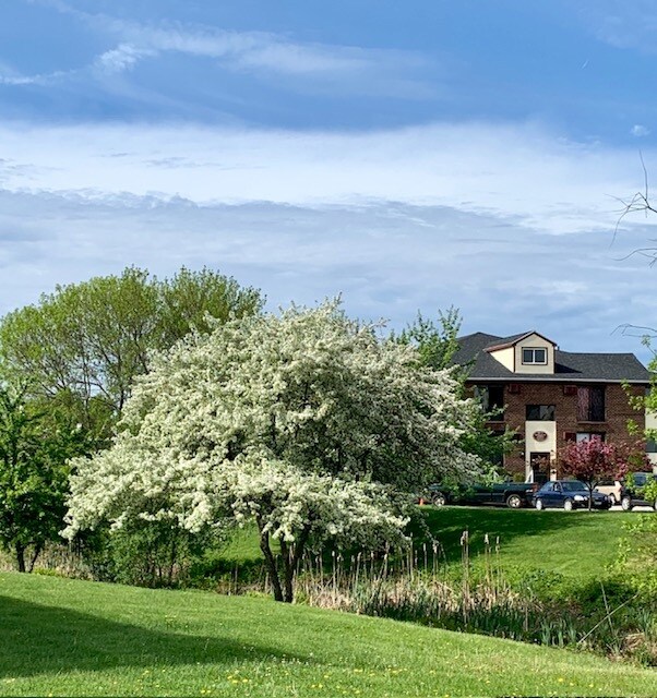 Olde English Village Apartments