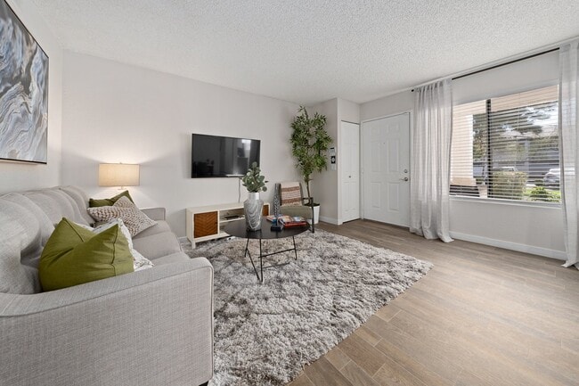 Solas Glendale