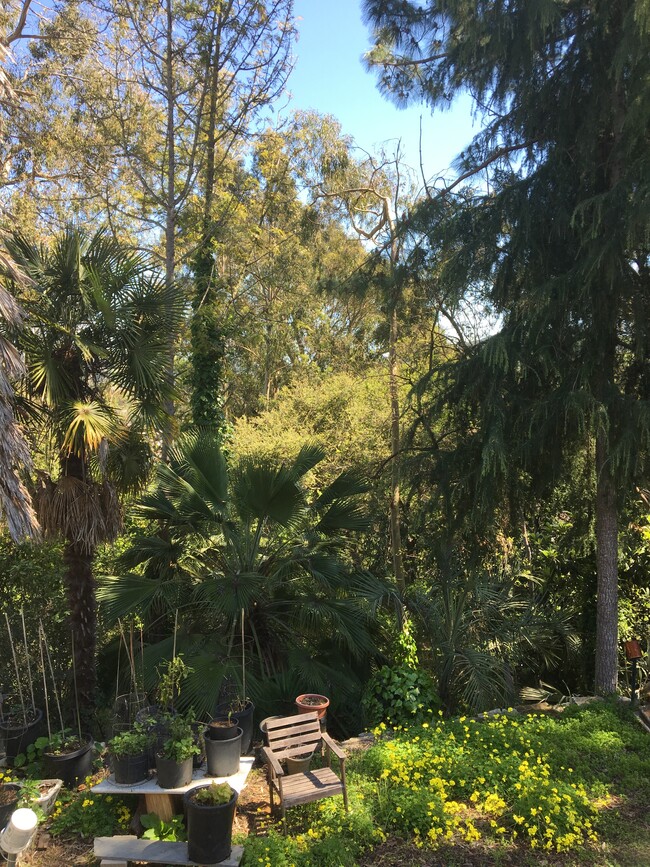 Backyard - 4012 Lambert Rd