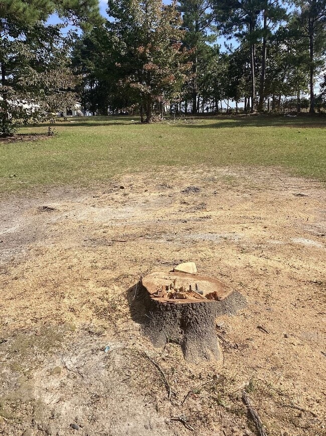 Photo - Eagles Landing Mobile Home Park Unit 56