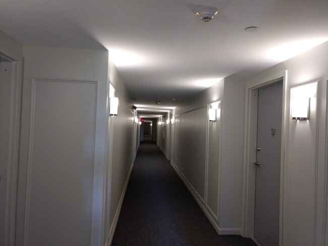 Hotel style hallway - 5201 Carriageway Dr Condo Unit 302c