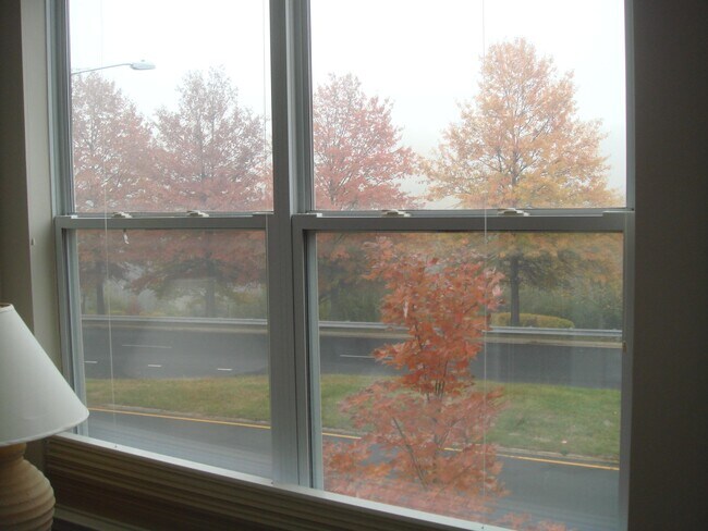 Bedroom View - 9480 Virginia Center Blvd Unidad 202