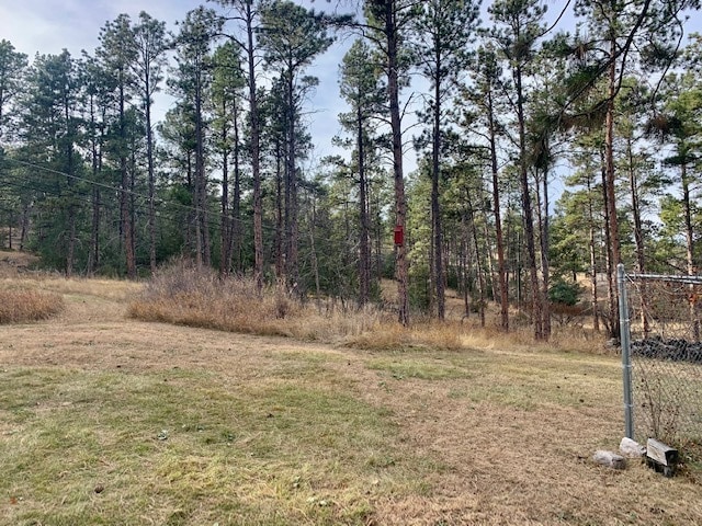 Photo - 213 N Berry Pine Rd