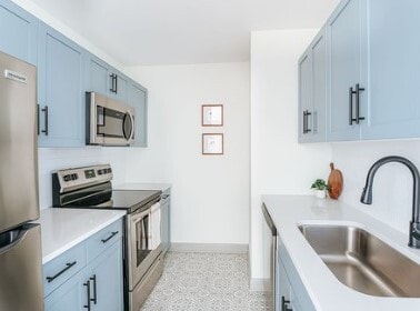 Photo - The Bluebird