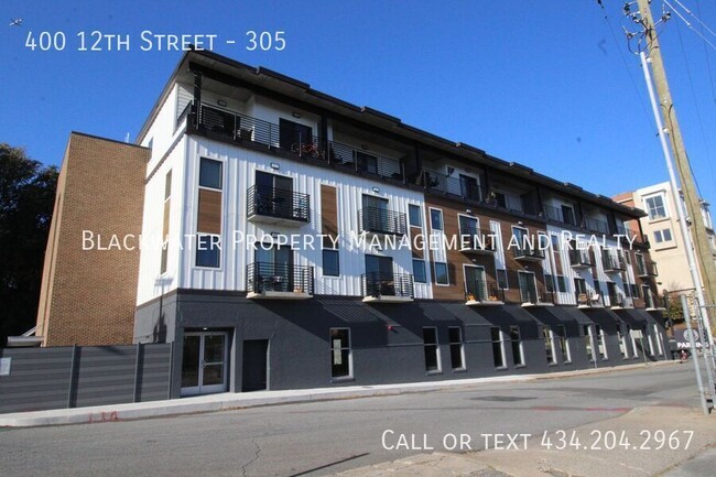 2 Bedroom Apartment in Downtown Lynchburg! - 2 Bedroom Apartment in Downtown Lynchburg! Unit 305