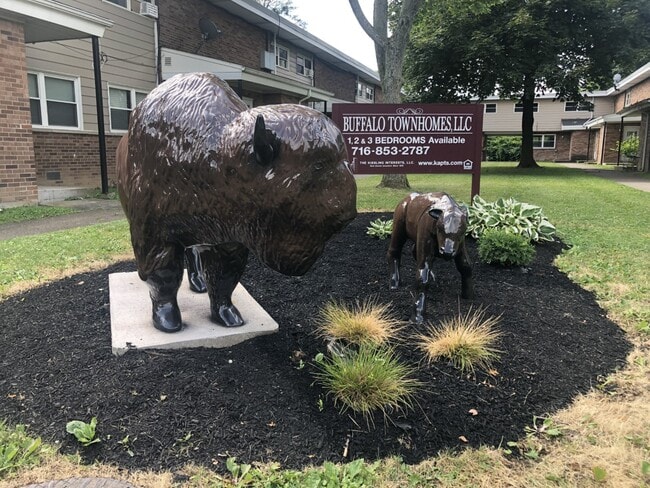 Photo - Hertel Avenue Townhomes