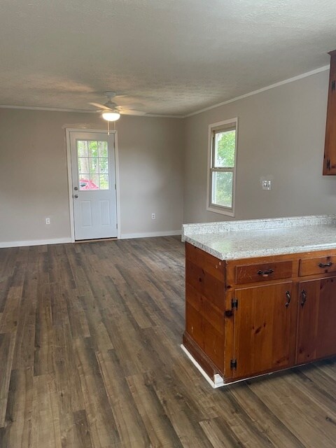 Photo - 12 Roe Rd