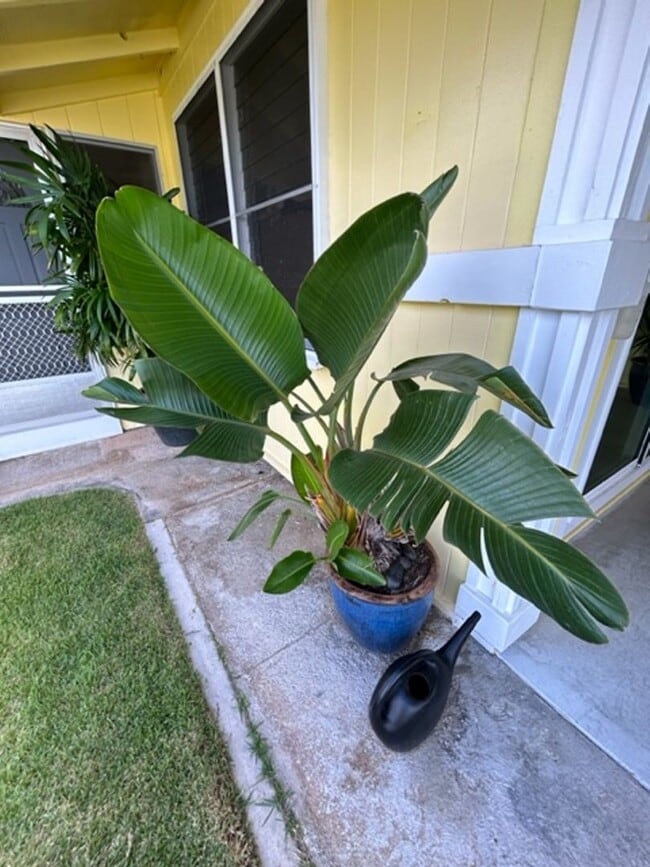 Photo - Available on 12/16/25, spacious 1570 sq ft, 3 Bedrooms, 2 Baths, 2 Car Garage Single-Family Home ...