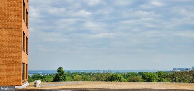 Photo - 1011 Arlington Blvd Unit 438