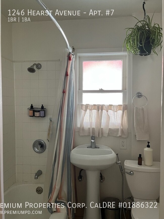 Photo - 1246 Hearst Ave