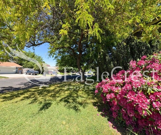 Photo - 3 Bedroom 2 Bathroom Single Family Home With Great Outdoor Space!!