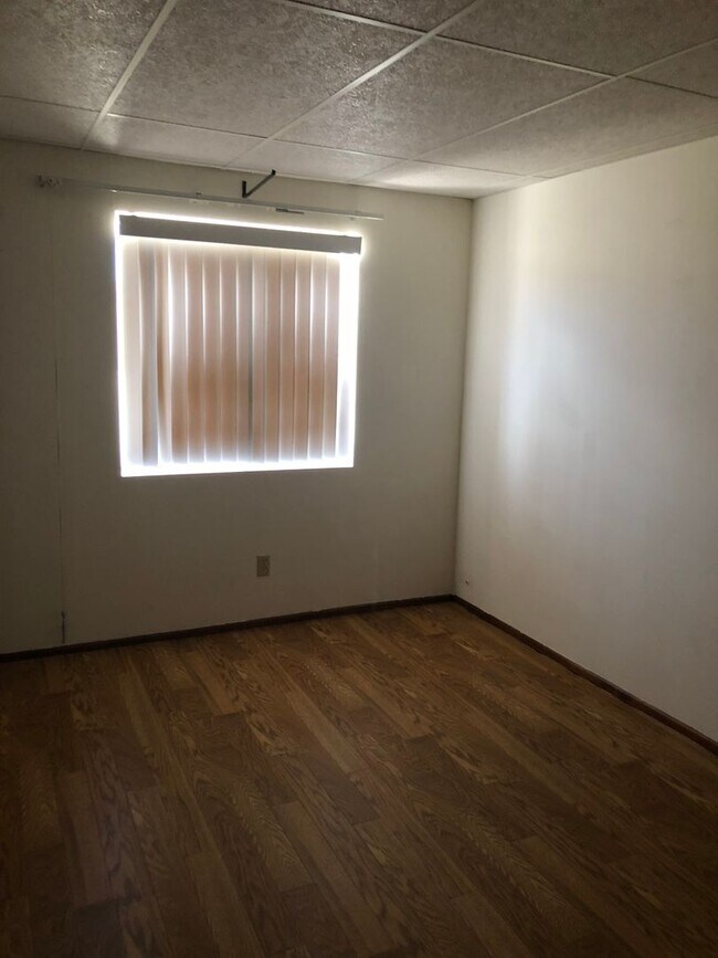 Photo - AVAILABLE NOW