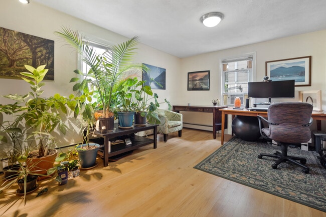 55 Waterhouse St