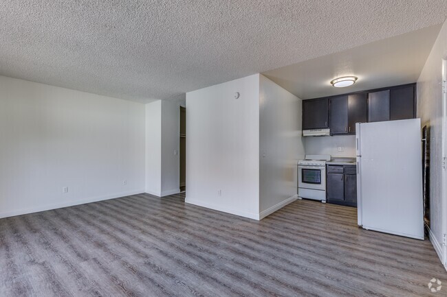 Studio - 450 SF