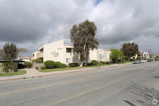 Citrus Tree Apartments - Citrus Tree Apartments
