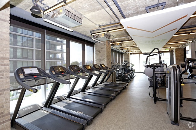 Gimnasio