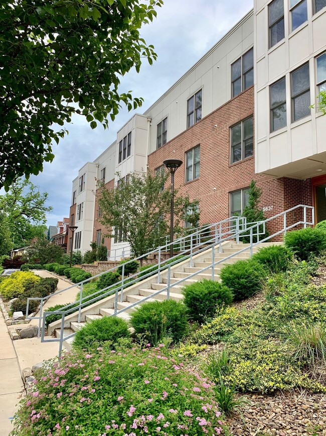 Photo - Terradime 5637 Forbes LLC