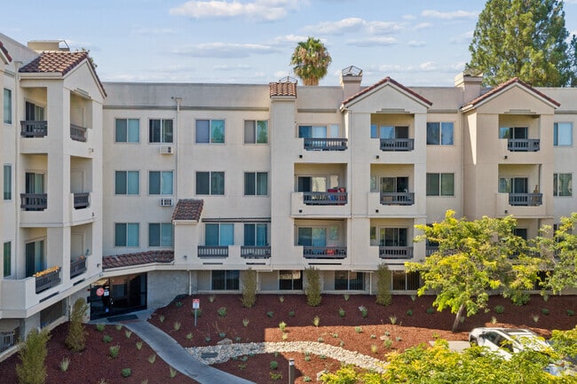 Paloma Vista