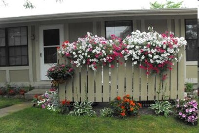 Aster Court Apartments - Aster Village Apartments