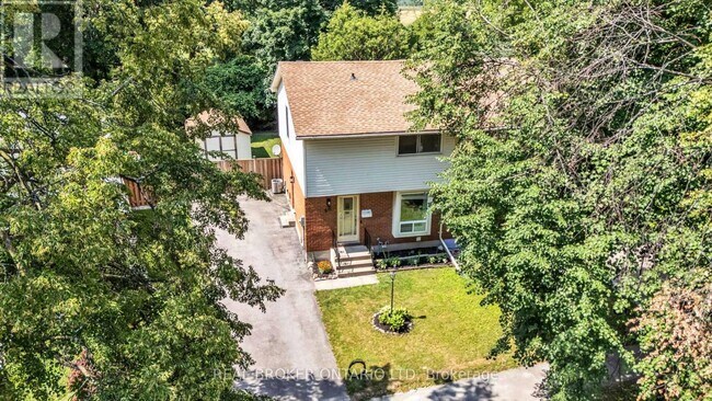 Photo - 60 Tilipe Rd