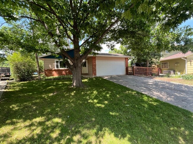 Photo - Adorable Home in West Fort Collins