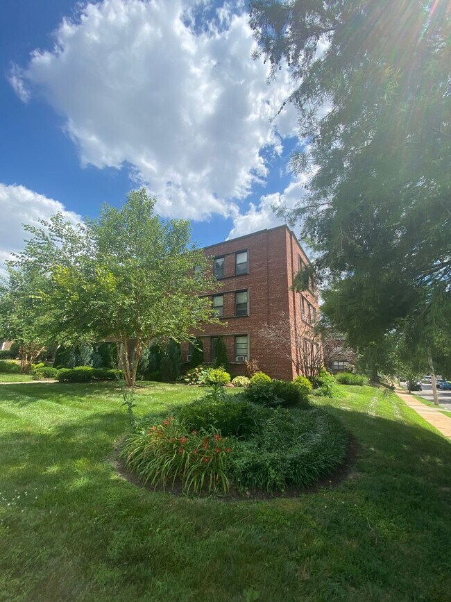 Updated Studio Apt in Dogtown! - Updated Studio Apt in Dogtown! Unit 6244 Oakland Ave #210