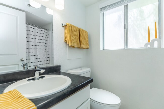 Photo - Vesta on 12th