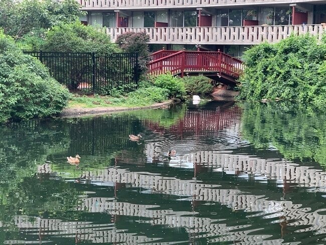 Photo - 200 Swanton St Unit L12