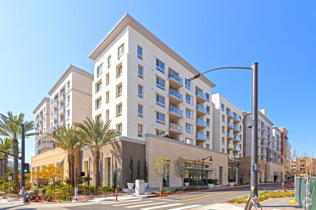 Photo - Stylus & Siena