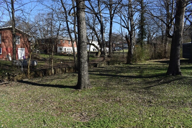 Spacious back yard with mature trees - 610 River Rouge Dr Townhome