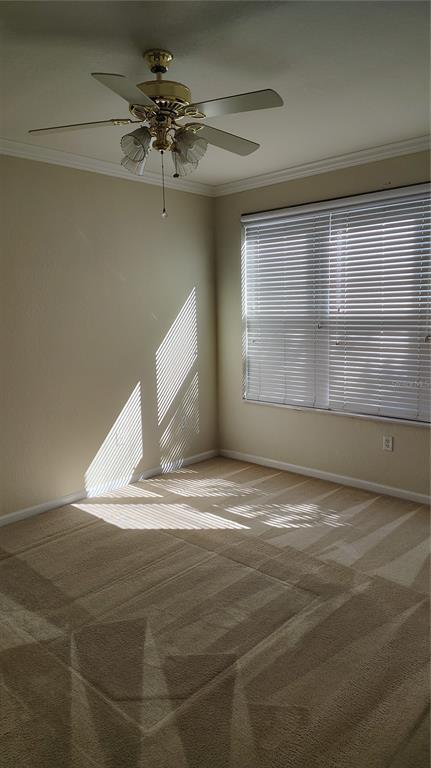 Photo - 505 Hockendale Cove