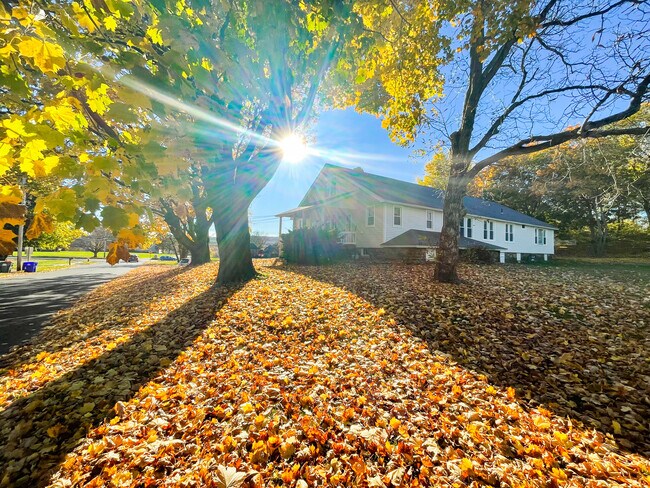 Photo - Cook Hill Apartments