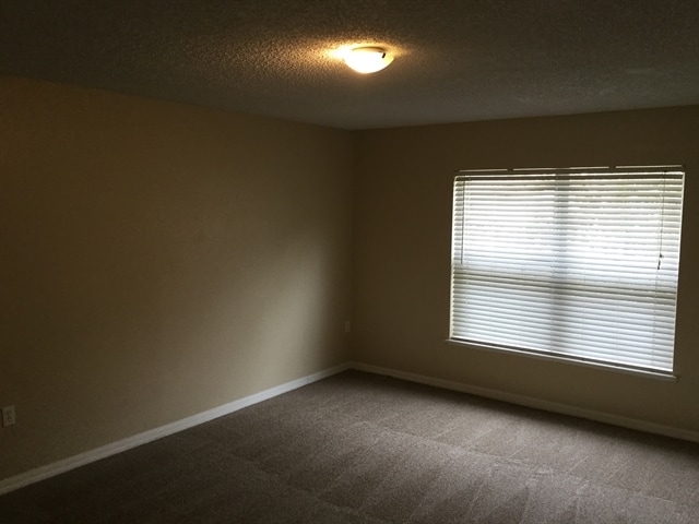 Photo - 11576 Whisperingbrook Ln