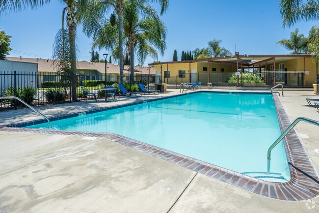Pool and Spa