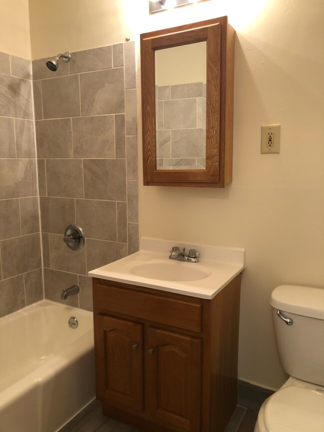 R1 - Bath - Old Forge Apartments