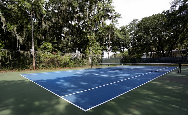 Pickle Ball Court - Odyssey at Amelia Island