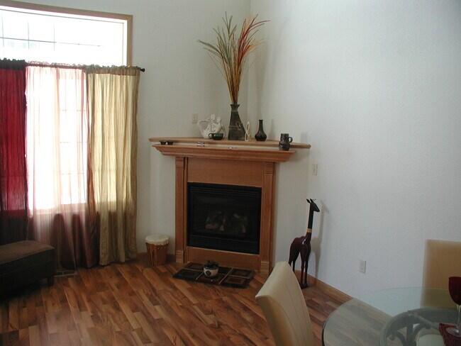 Main Level family room gas fireplace! - 11399 16th St NE
