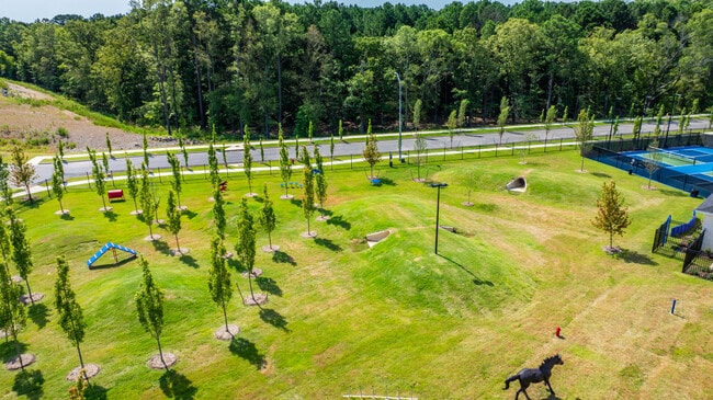 Animal Park - The Hamilton