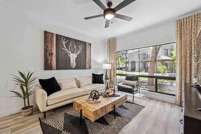 Photo - Lazo Apartment Homes