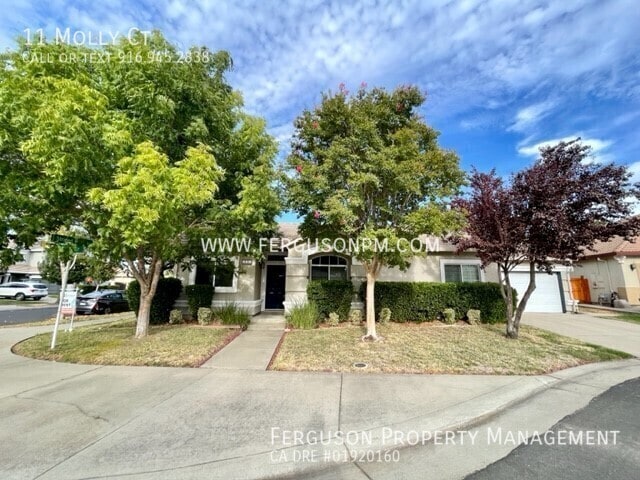 Building Photo - 11 Molly Ct