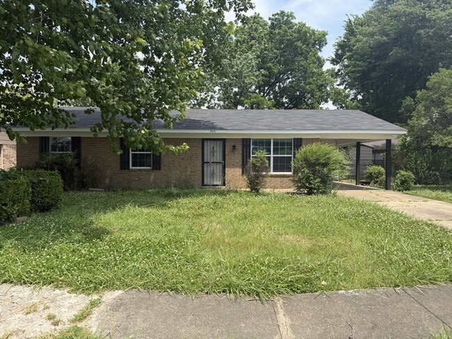 Building Photo - 905 Maple Dr