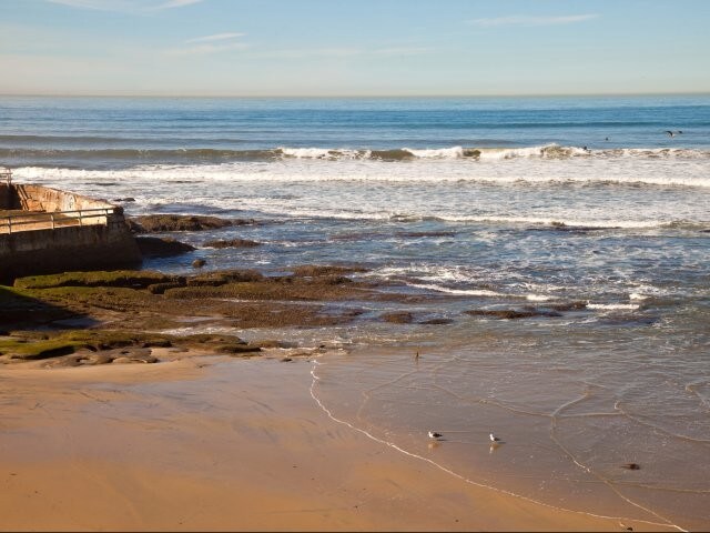 Ocean Beach